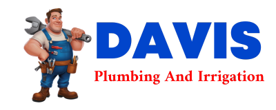 Trusted plumber in HIDALGO